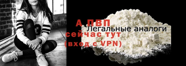 индика Вязьма