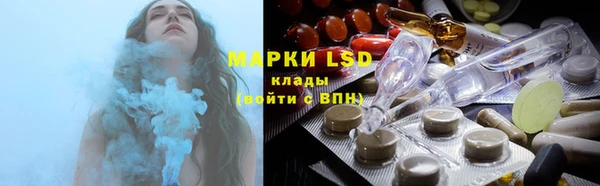 индика Вязьма