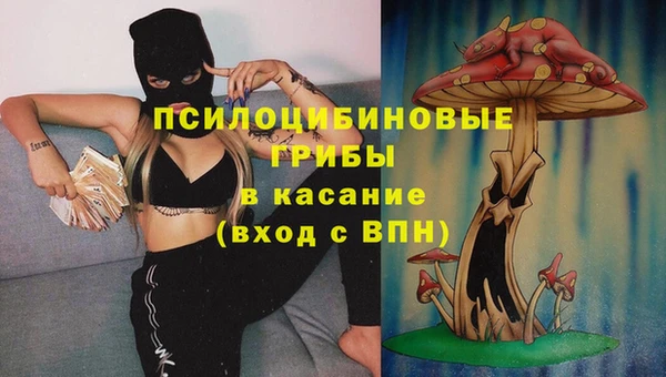 дживик Володарск