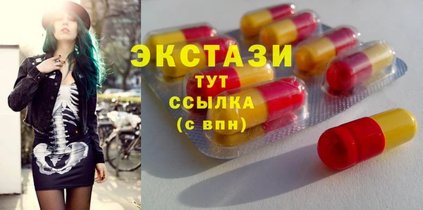 индика Вязьма