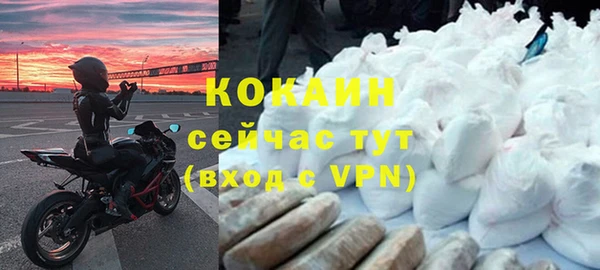 дживик Володарск