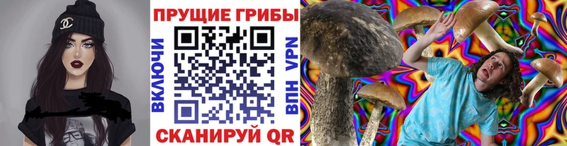 hydra вход  Гаврилов Посад  Галлюциногенные грибы MAGIC MUSHROOMS  продажа наркотиков 